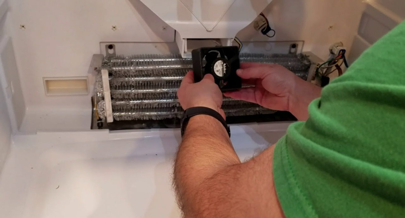 ضعف التجميد